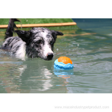 TPR material ball Resistant outdoor pet toy